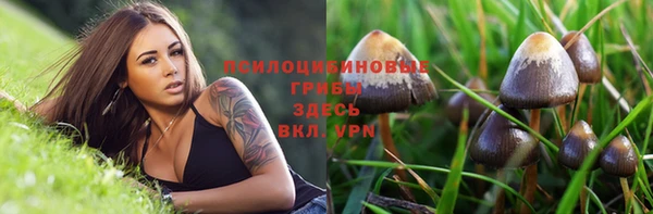 хмурый Верхнеуральск