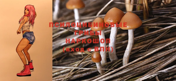 эйфоретик Верхний Тагил