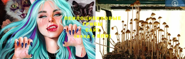 эйфоретик Верхний Тагил