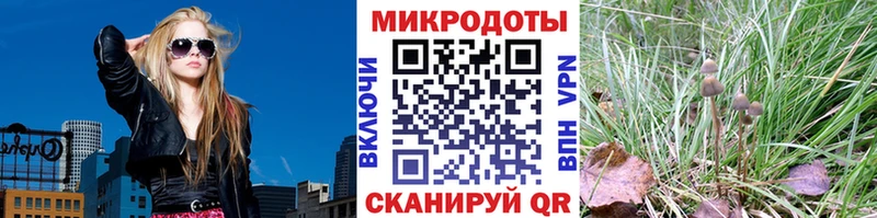 Галлюциногенные грибы ЛСД  Лермонтов 
